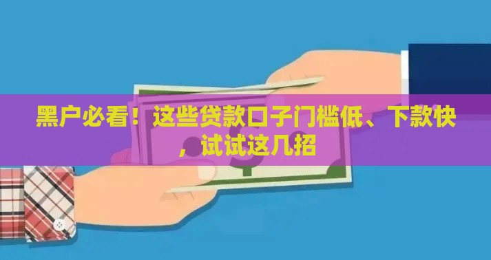 黑户必看！这些贷款口子门槛低、下款快，试试这几招