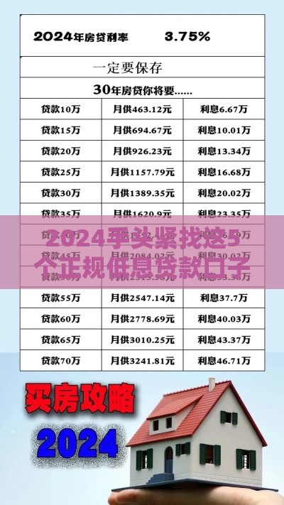 2024手头紧找这5个正规低息贷款口子
