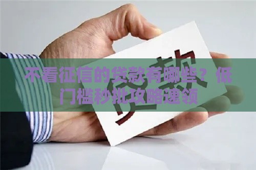 不看征信的贷款有哪些？低门槛秒批攻略速领