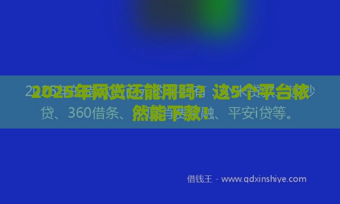 2025年网贷还能用吗？这5个平台依然能下款！