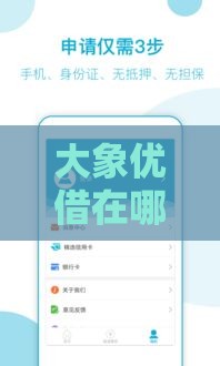 大象优借在哪个口子？正规平台靠谱渠道到底藏在哪儿