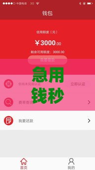 急用钱秒到账？这5个靠谱平台审核快放款稳！