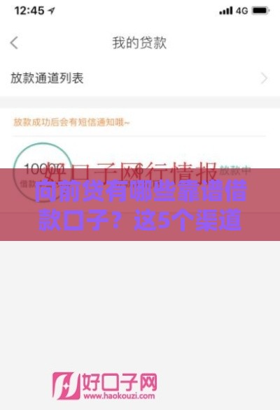 向前贷有哪些靠谱借款口子？这5个渠道审核快额度高