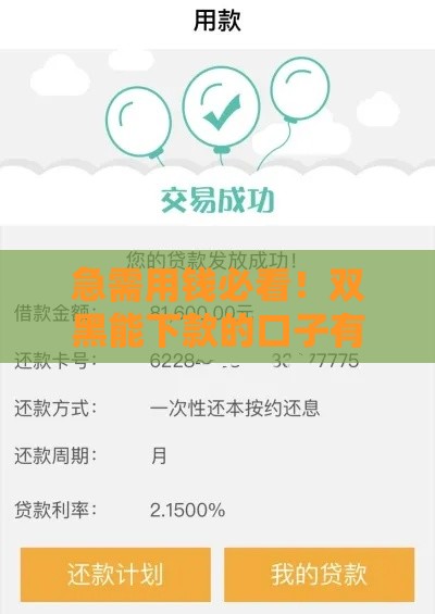急需用钱必看！双黑能下款的口子有哪些？这5个渠道审核松
