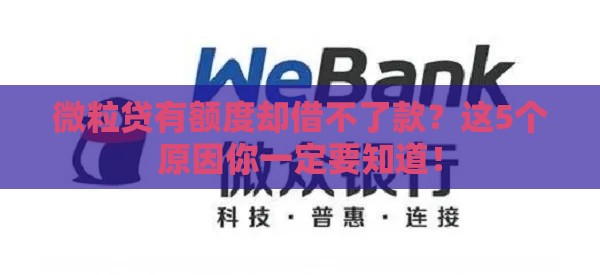 微粒贷有额度却借不了款？这5个原因你一定要知道！