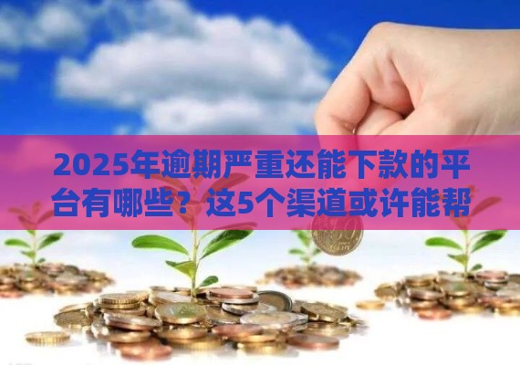 2025年逾期严重还能下款的平台有哪些？这5个渠道或许能帮你！