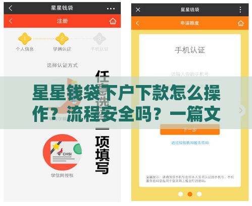 星星钱袋下户下款怎么操作？流程安全吗？一篇文章全解析