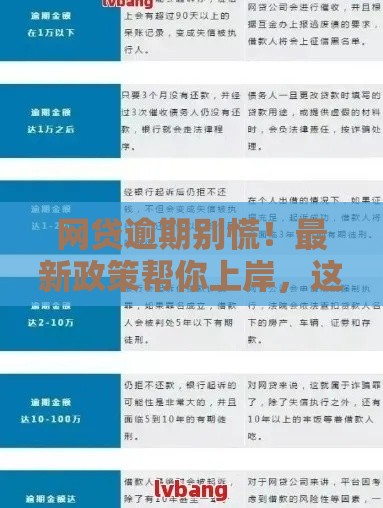 网贷逾期别慌！最新政策帮你上岸，这些方法太实用了