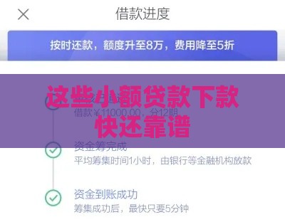 这些小额贷款下款快还靠谱