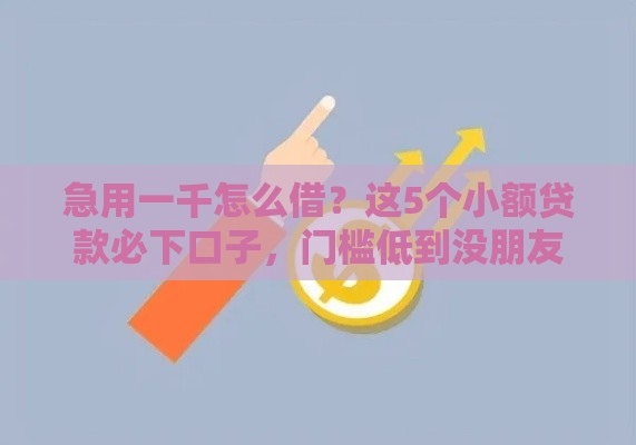 急用一千怎么借？这5个小额贷款必下口子，门槛低到没朋友！