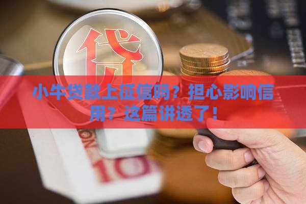 小牛贷款上征信吗？担心影响信用？这篇讲透了！