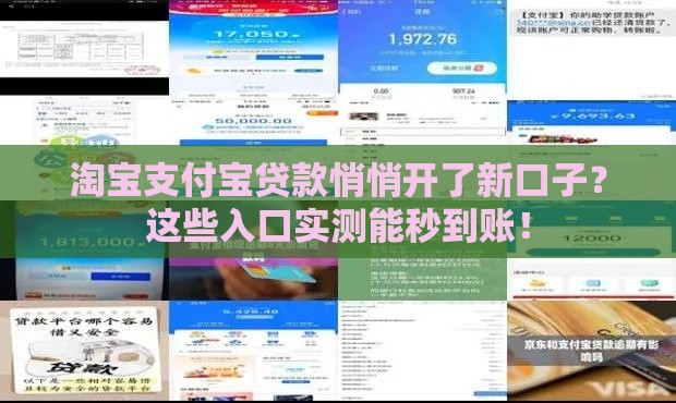 淘宝支付宝贷款悄悄开了新口子？这些入口实测能秒到账！