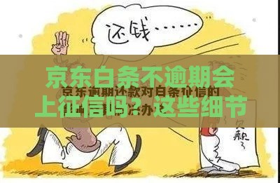 京东白条不逾期会上征信吗？这些细节你必须知道！