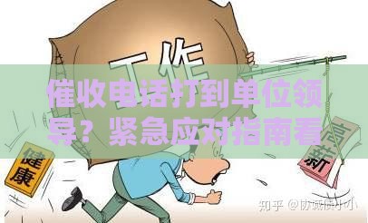 催收电话打到单位领导？紧急应对指南看这里