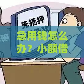 急用钱怎么办？小额借贷攻略：3分钟教你避开坑，选正规平台！