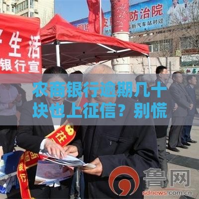 农商银行逾期几十块也上征信？别慌！3个补救方法避免贷款被拒
