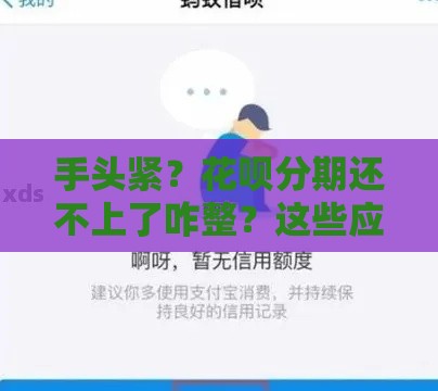 手头紧？花呗分期还不上了咋整？这些应急方法帮你渡过难关！