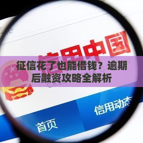征信花了也能借钱？逾期后融资攻略全解析