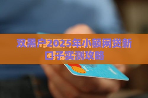 双黑户2025年小额网贷新口子实测攻略