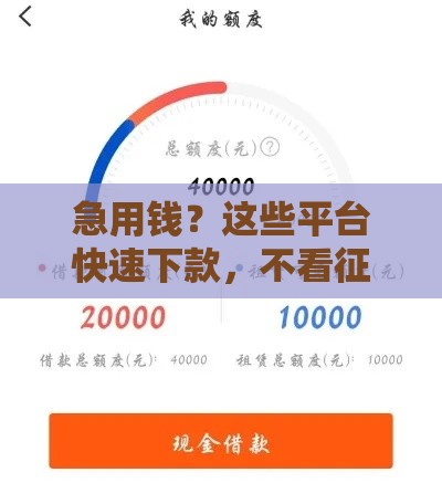急用钱？这些平台快速下款，不看征信也能借到！