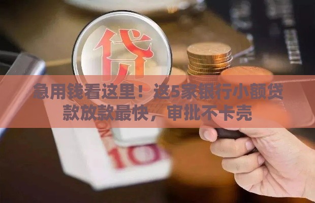 急用钱看这里！这5家银行小额贷款放款最快，审批不卡壳