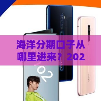 海洋分期口子从哪里进来？2025最新申请入口和技巧分享
