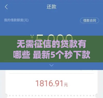 无需征信的贷款有哪些 最新5个秒下款平台实测分享