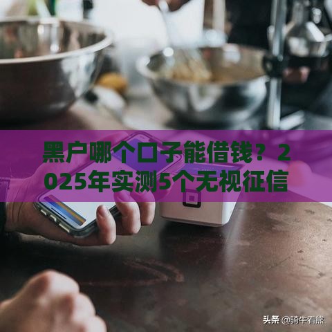 黑户哪个口子能借钱？2025年实测5个无视征信的良心平台