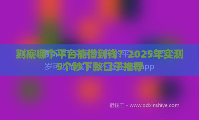 到底哪个平台能借到钱？2025年实测5个秒下款口子推荐