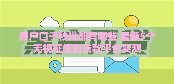 黑户口子秒批都有哪些 最新5个无视征信的贷款平台实测
