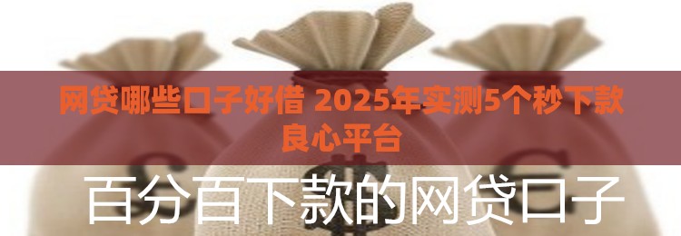 网贷哪些口子好借 2025年实测5个秒下款良心平台