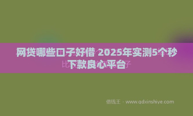 网贷哪些口子好借 2025年实测5个秒下款良心平台
