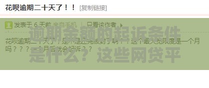 逾期金额的起诉条件是什么？这些网贷平台真敢告你！