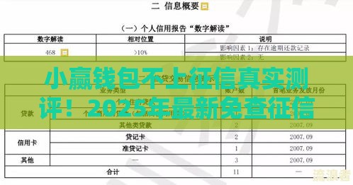 小赢钱包不上征信真实测评！2025年最新免查征信贷款攻略