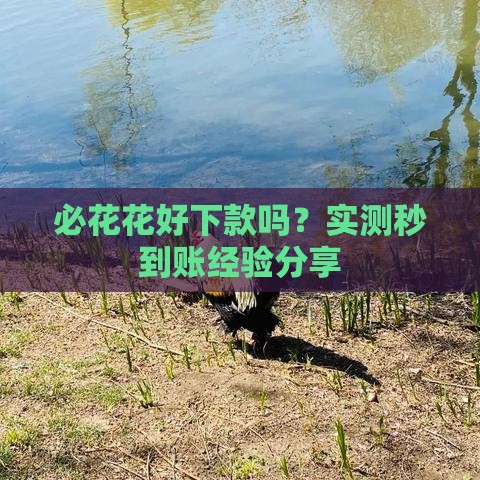 必花花好下款吗？实测秒到账经验分享