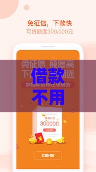 借款不用审核秒到账 2025年最新靠谱网贷口子实测推荐