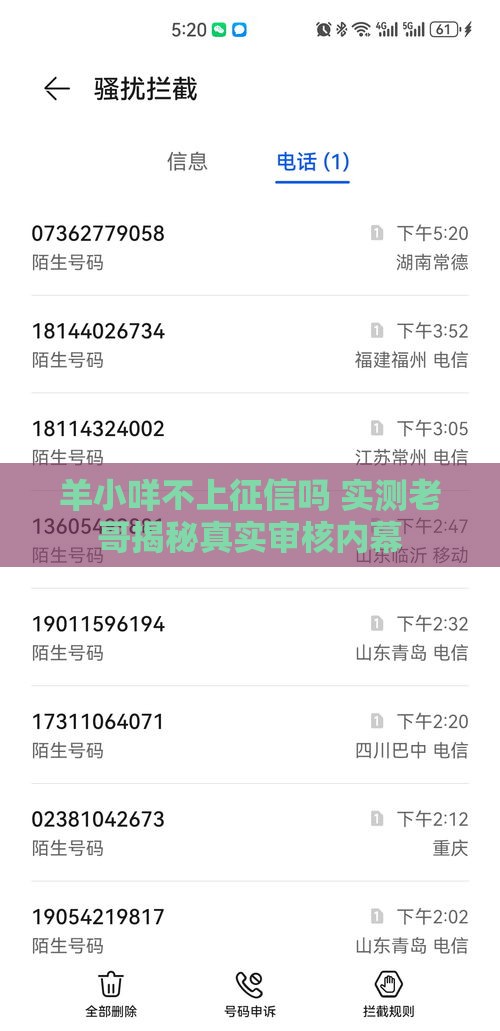 羊小咩不上征信吗 实测老哥揭秘真实审核内幕