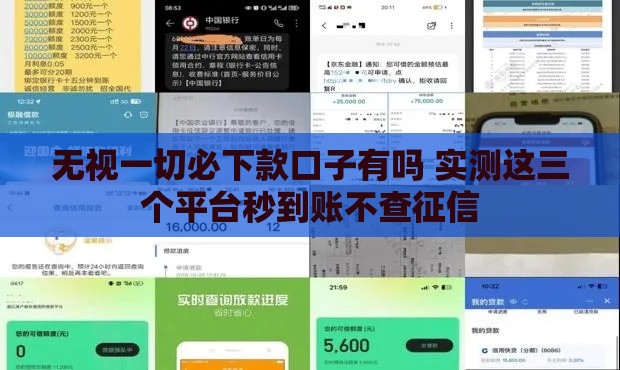 无视一切必下款口子有吗 实测这三个平台秒到账不查征信