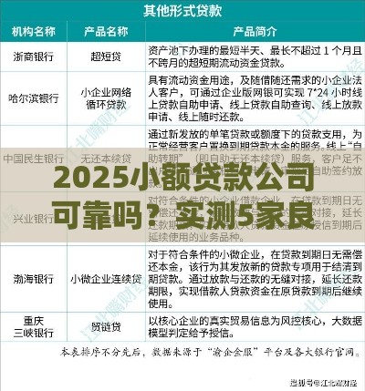 2025小额贷款公司可靠吗？实测5家良心平台防踩坑指南