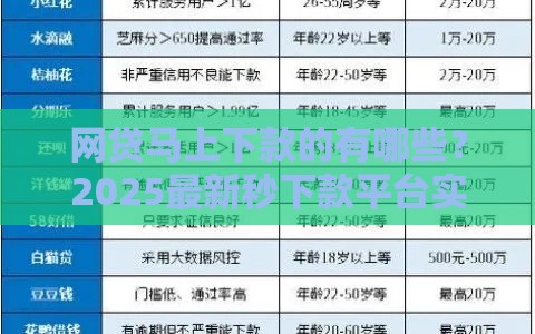 网贷马上下款的有哪些？2025最新秒下款平台实测推荐
