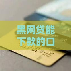 黑网贷能下款的口子不看征信 实测5个秒到账隐藏渠道