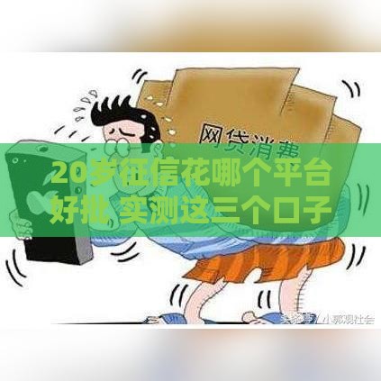 20岁征信花哪个平台好批 实测这三个口子秒下款不查大数据