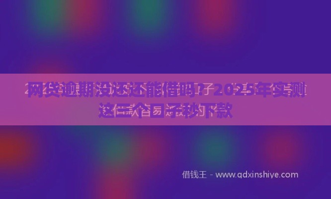 网贷逾期没还还能借吗？2025年实测这三个口子秒下款