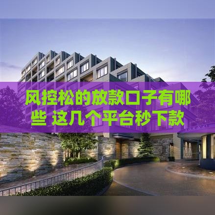 风控松的放款口子有哪些 这几个平台秒下款不墨迹