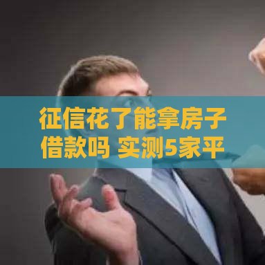 征信花了能拿房子借款吗 实测5家平台放款速度和额度对比