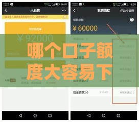 哪个口子额度大容易下 实测这几个平台秒批5万+