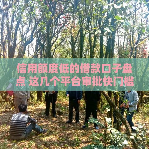 信用额度低的借款口子盘点 这几个平台审批快门槛低