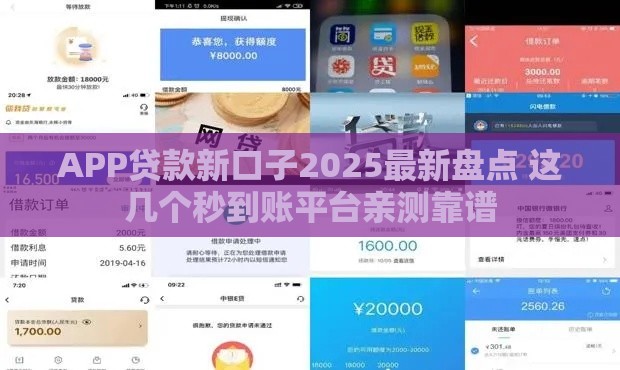 APP贷款新口子2025最新盘点 这几个秒到账平台亲测靠谱