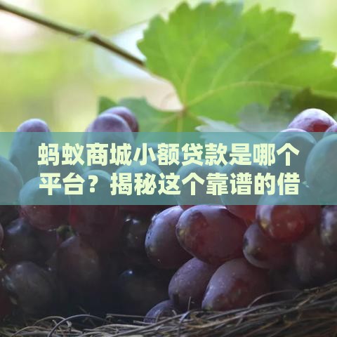 蚂蚁商城小额贷款是哪个平台？揭秘这个靠谱的借钱渠道