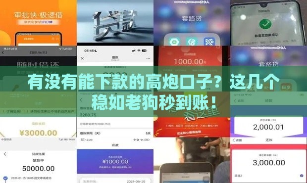 有没有能下款的高炮口子？这几个稳如老狗秒到账！